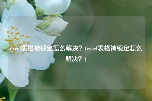 excel表格被锁定怎么解决？(excel表格被锁定怎么解决？)