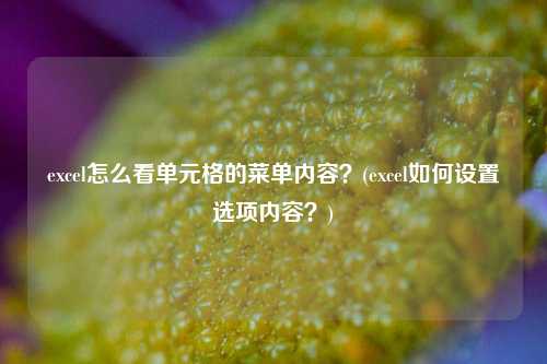 excel怎么看单元格的菜单内容？(excel如何设置选项内容？)