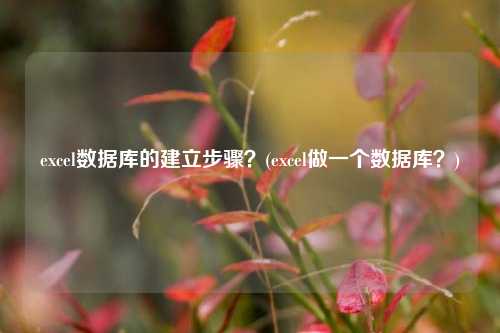 excel数据库的建立步骤？(excel做一个数据库？)