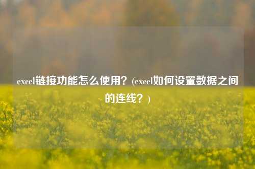 excel链接功能怎么使用？(excel如何设置数据之间的连线？)