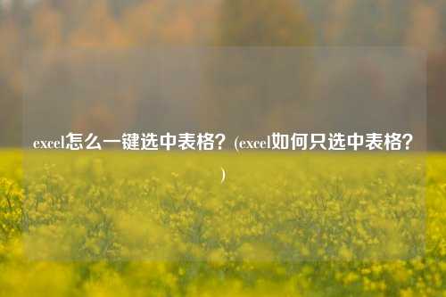 excel怎么一键选中表格？(excel如何只选中表格？)