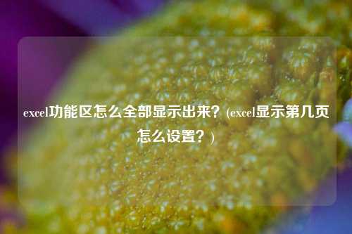 excel功能区怎么全部显示出来？(excel显示第几页怎么设置？)