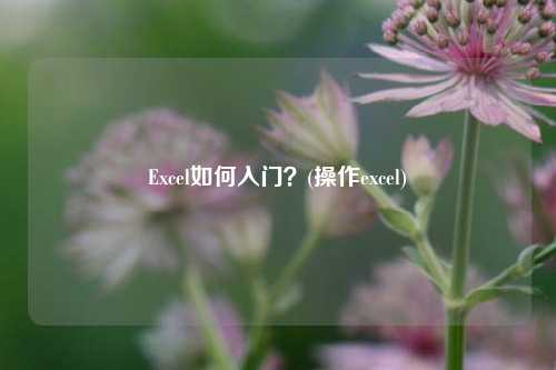 Excel如何入门？(操作excel)