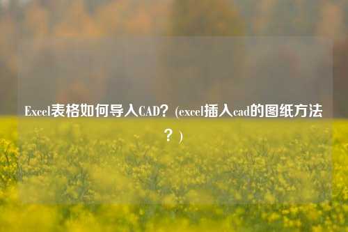 Excel表格如何导入CAD？(excel插入cad的图纸方法？)