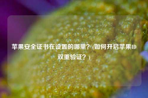 苹果安全证书在设置的哪里？(如何开启苹果ID双重验证？)