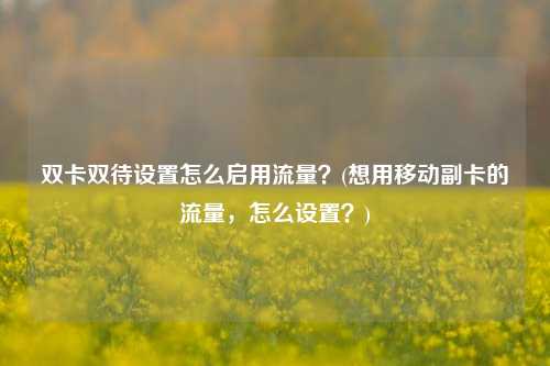 双卡双待设置怎么启用流量？(想用移动副卡的流量，怎么设置？)