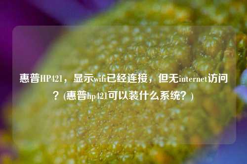 惠普HP421，显示wifi已经连接，但无internet访问？(惠普hp421可以装什么系统？)