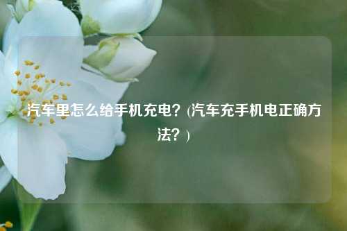 汽车里怎么给手机充电？(汽车充手机电正确方法？)