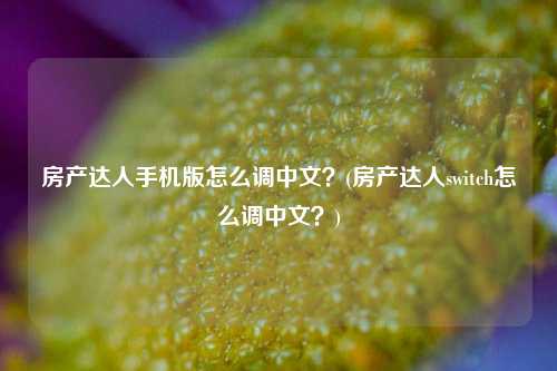 房产达人手机版怎么调中文？(房产达人switch怎么调中文？)