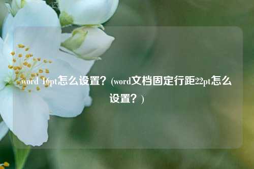 word 16pt怎么设置？(word文档固定行距22pt怎么设置？)