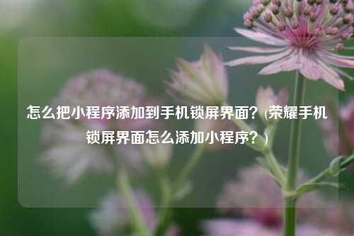 怎么把小程序添加到手机锁屏界面？(荣耀手机锁屏界面怎么添加小程序？)