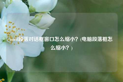 word段落对话框窗口怎么缩小？(电脑段落框怎么缩小？)