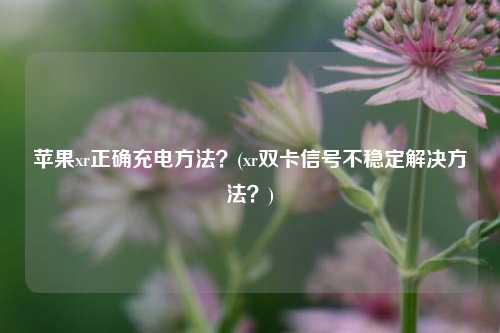 苹果xr正确充电方法？(xr双卡信号不稳定解决方法？)