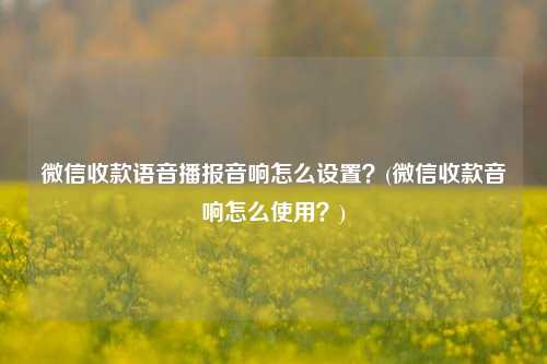 微信收款语音播报音响怎么设置？(微信收款音响怎么使用？)