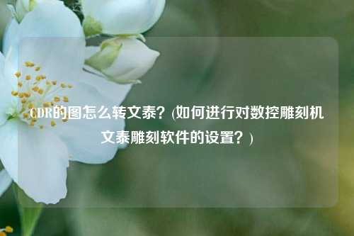 CDR的图怎么转文泰？(如何进行对数控雕刻机文泰雕刻软件的设置？)