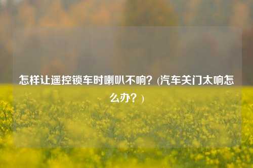 怎样让遥控锁车时喇叭不响？(汽车关门太响怎么办？)