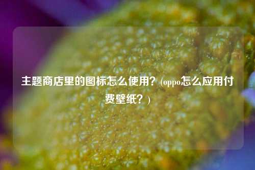 主题商店里的图标怎么使用？(oppo怎么应用付费壁纸？)