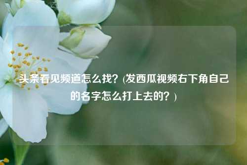 头条看见频道怎么找？(发西瓜视频右下角自己的名字怎么打上去的？)