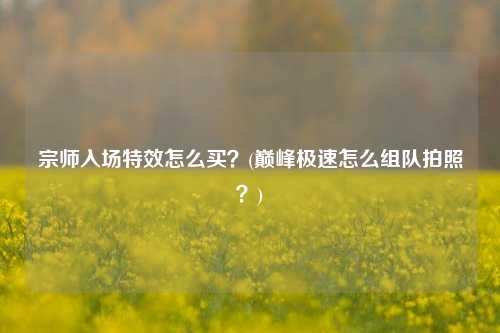 宗师入场特效怎么买？(巅峰极速怎么组队拍照？)