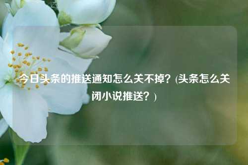 今日头条的推送通知怎么关不掉？(头条怎么关闭小说推送？)