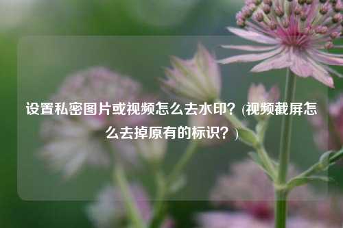 设置私密图片或视频怎么去水印？(视频截屏怎么去掉原有的标识？)