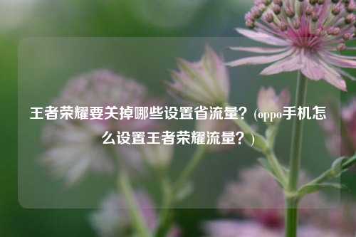 王者荣耀要关掉哪些设置省流量？(oppo手机怎么设置王者荣耀流量？)