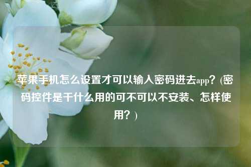 苹果手机怎么设置才可以输入密码进去app？(密码控件是干什么用的可不可以不安装、怎样使用？)