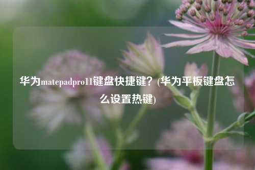 华为matepadpro11键盘快捷键？(华为平板键盘怎么设置热键)