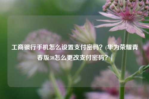 工商银行手机怎么设置支付密码？(华为荣耀青春版30怎么更改支付密码？)