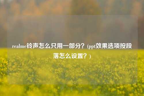 realme铃声怎么只用一部分？(ppt效果选项按段落怎么设置？)