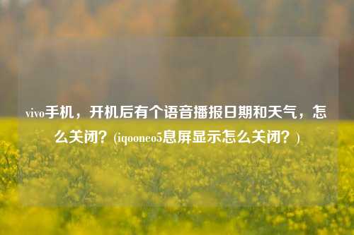 vivo手机，开机后有个语音播报日期和天气，怎么关闭？(iqooneo5息屏显示怎么关闭？)