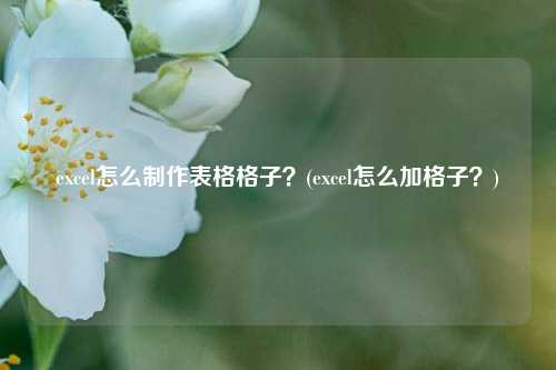 excel怎么制作表格格子？(excel怎么加格子？)