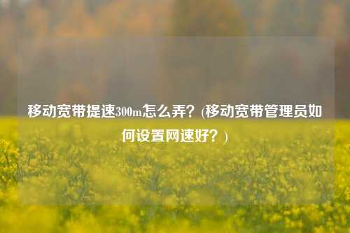 移动宽带提速300m怎么弄？(移动宽带管理员如何设置网速好？)