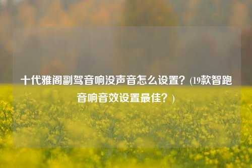 十代雅阁副驾音响没声音怎么设置？(19款智跑音响音效设置最佳？)