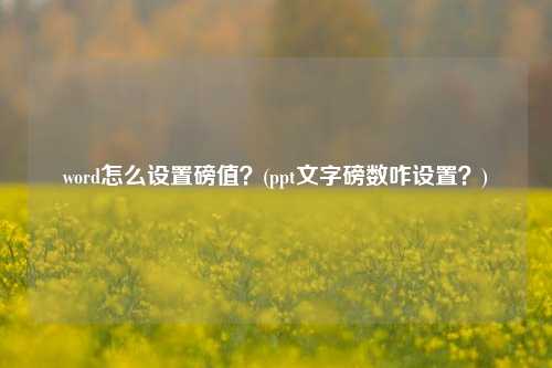 word怎么设置磅值？(ppt文字磅数咋设置？)