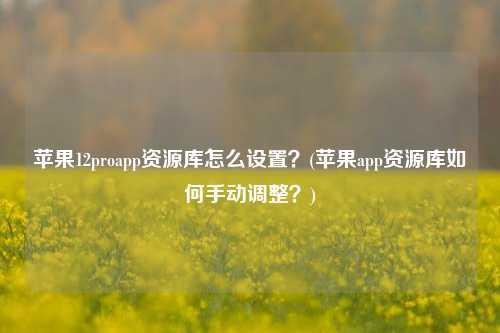 苹果12proapp资源库怎么设置？(苹果app资源库如何手动调整？)