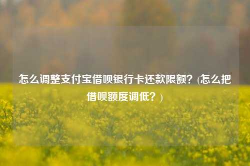 怎么调整支付宝借呗银行卡还款限额？(怎么把借呗额度调低？)