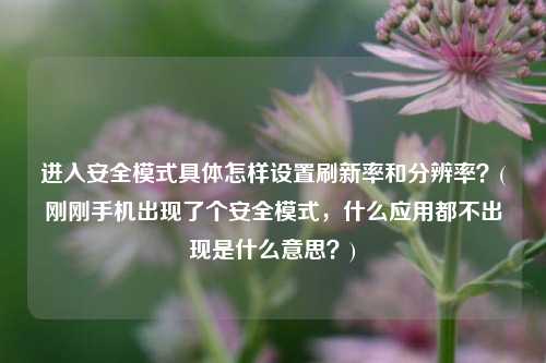 进入安全模式具体怎样设置刷新率和分辨率？(刚刚手机出现了个安全模式，什么应用都不出现是什么意思？)