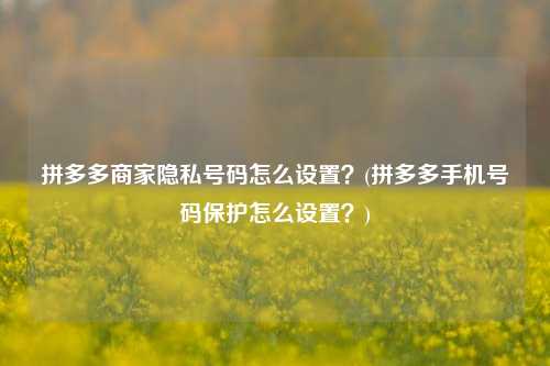 拼多多商家隐私号码怎么设置？(拼多多手机号码保护怎么设置？)