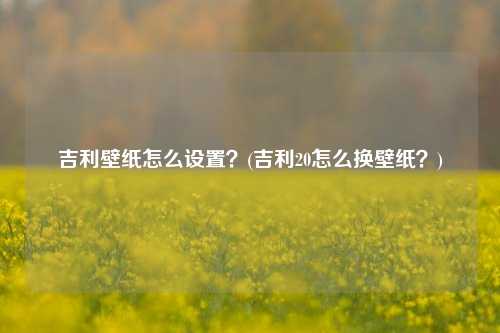 吉利壁纸怎么设置？(吉利20怎么换壁纸？)