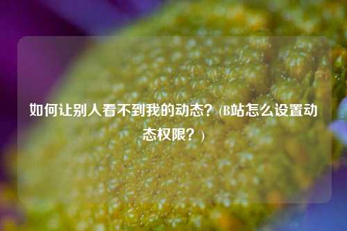 如何让别人看不到我的动态？(B站怎么设置动态权限？)