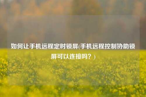 如何让手机远程定时锁屏(手机远程控制协助锁屏可以连接吗？)