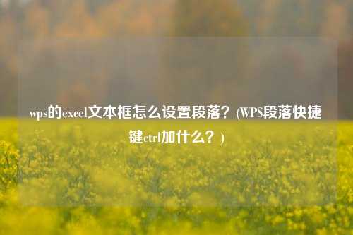 wps的excel文本框怎么设置段落？(WPS段落快捷键ctrl加什么？)