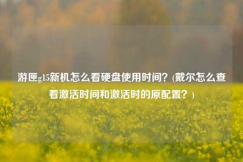 游匣g15新机怎么看硬盘使用时间？(戴尔怎么查看激活时间和激活时的原配置？)