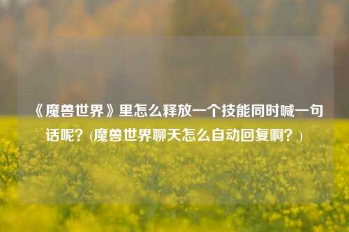 《魔兽世界》里怎么释放一个技能同时喊一句话呢？(魔兽世界聊天怎么自动回复啊？)