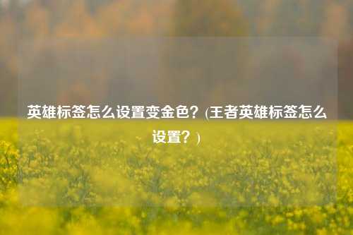 英雄标签怎么设置变金色？(王者英雄标签怎么设置？)