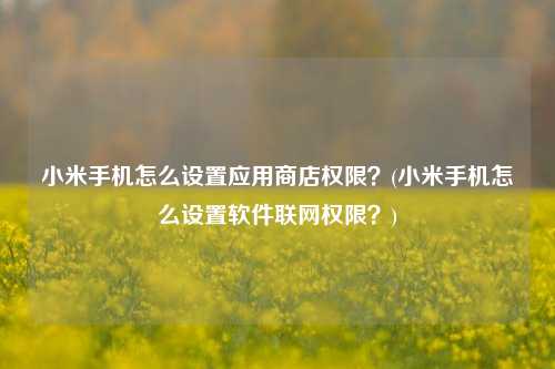 小米手机怎么设置应用商店权限？(小米手机怎么设置软件联网权限？)