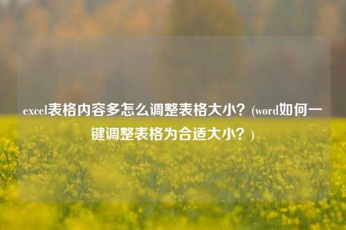 excel表格内容多怎么调整表格大小？(word如何一键调整表格为合适大小？)