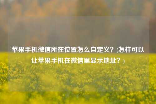 苹果手机微信所在位置怎么自定义？(怎样可以让苹果手机在微信里显示地址？)