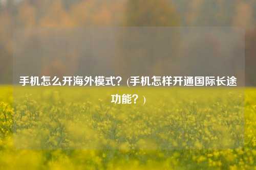 手机怎么开海外模式？(手机怎样开通国际长途功能？)